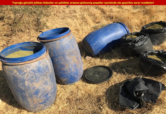 Diyarbakır'da 1 milyon kök Hint keneviri ele geçirildi